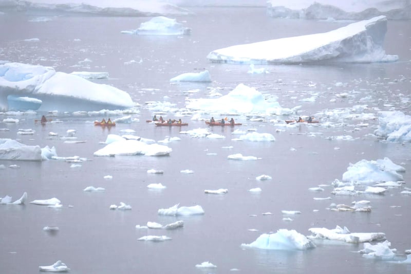 Kayaking through mini icebergs 
