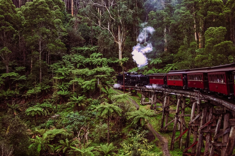 Puffing Billy in motion going through a forest in Victoria.