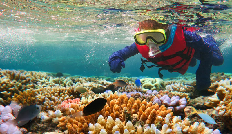 What is famous in Australia? Scuba diving in Queensland!