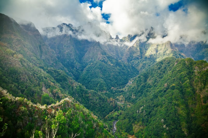 View of mountains with mist from levada Balcoes in Madeira, an emerging travel destination 2023