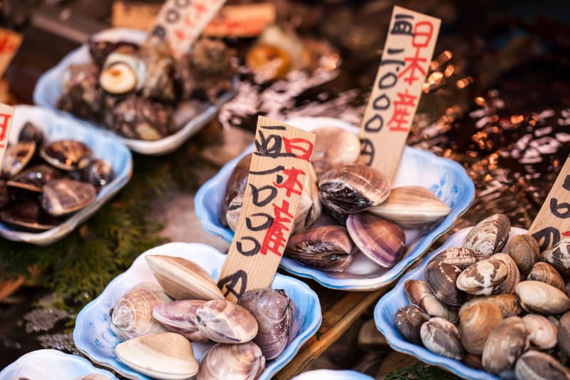 Mussels on display in world's biggest fish market, Tsukiji Fish Market in Japan.