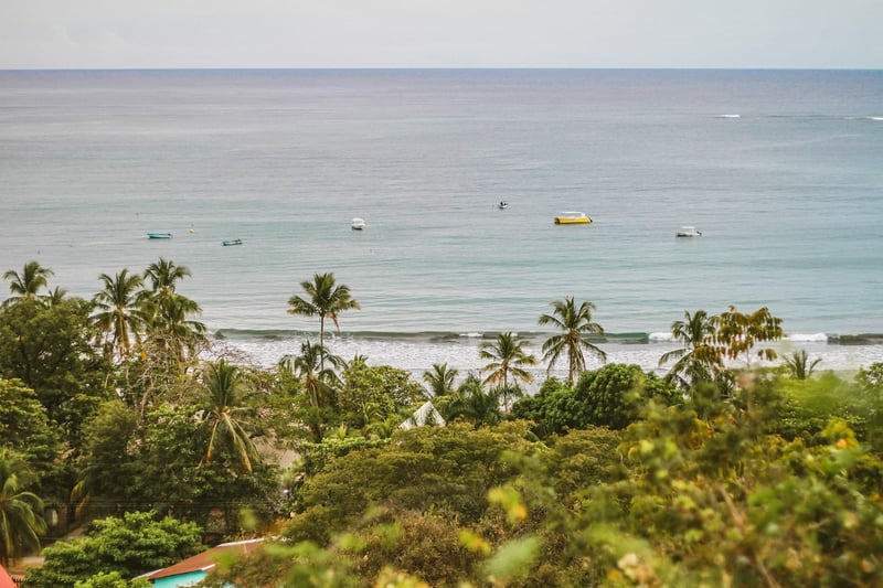 Palm tree-lined surf beach on blue zone spot the Nikoya Peninsula, Costa Rica