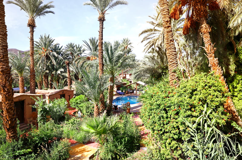 Garden and pool in desert oasis palm grove of Bab El Oued eco tourism lodge in Morocco