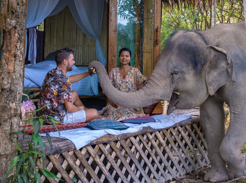 Experiential travel involves local culture and wildlife like this elephant visiting tourist with a local women present