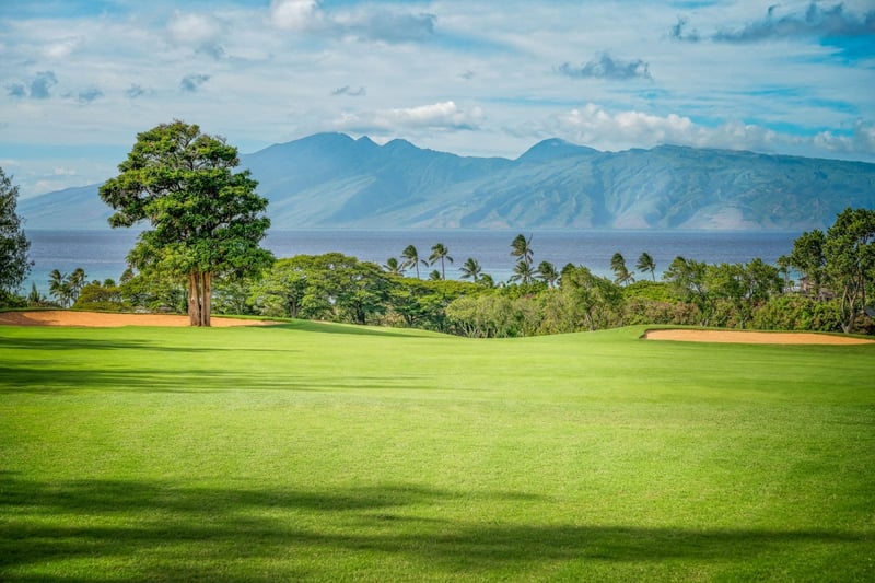 Fairway  of Plantation Course Hawaii with palm trees, sea and mountains in the background