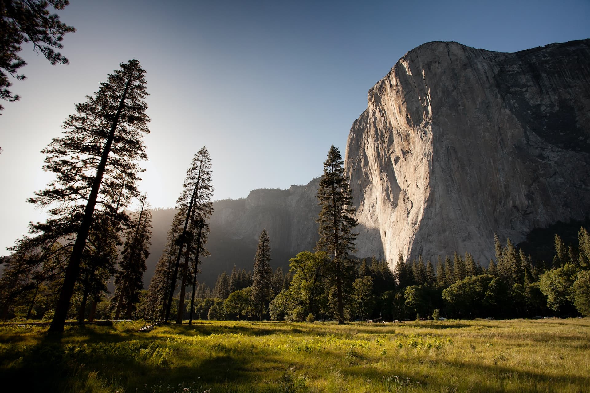 Famous El Capitan rick climbing cliff in Yosemite National Park