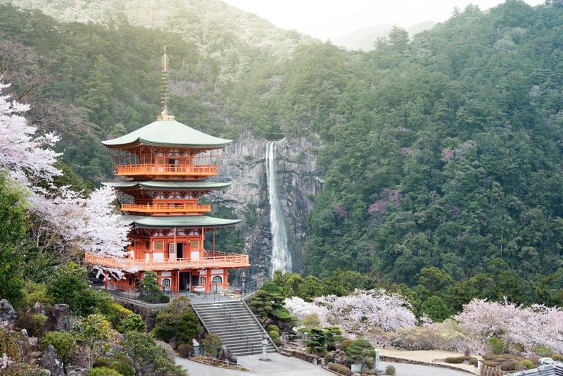 Nachi Taisha in Kumano Kodo pilgrimage routes, the tallest water fall in Japan with three strolley pagoda in sakura or cherry blossom season