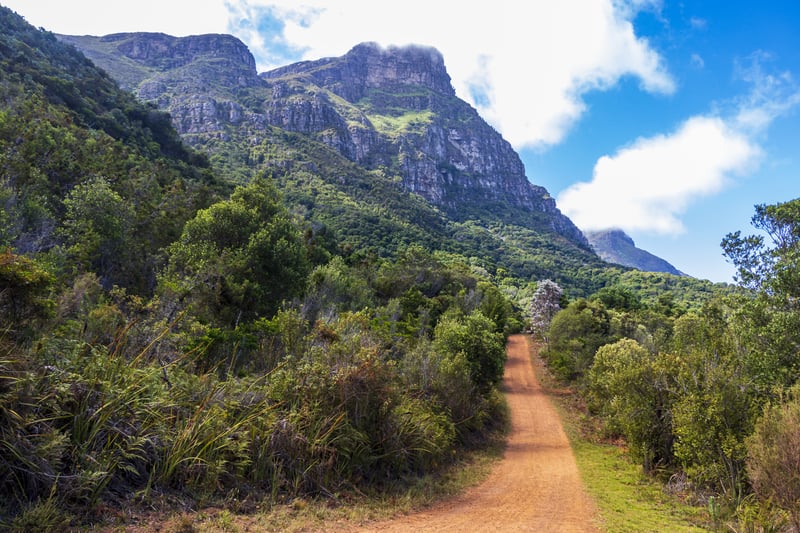 Big mountains and trails Kirstenbosch National Botanical Garden which leads into one of the world's best national park walks, the Skeleton Trail up Table Mountain, Cape Town, South Africa