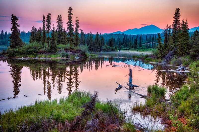 Sunset reflecting off lake and pine trees in a beautiful national park with walking trails