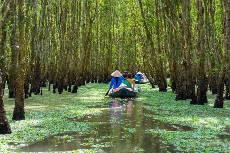 Tourism rowing boat in Mekong delta, Vietnam (2)