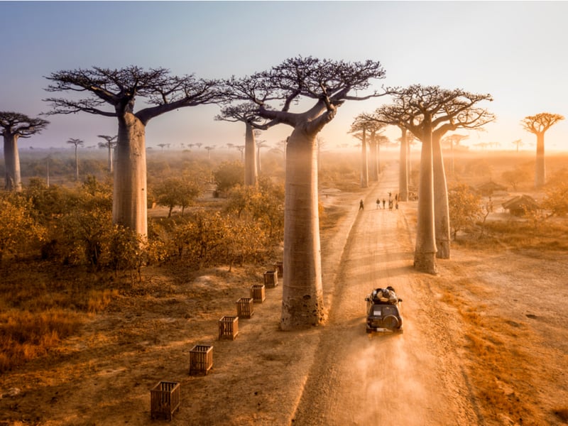 Africa travel itinerary: Madagascar
