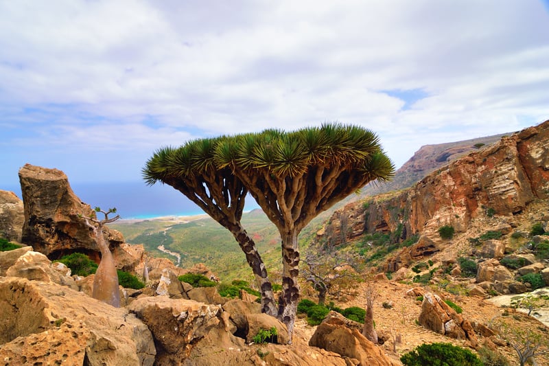 Africa travel itinerary: Socotra