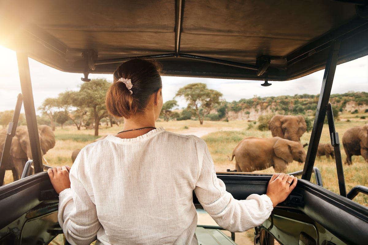 Woman tourist on a safari in Africa