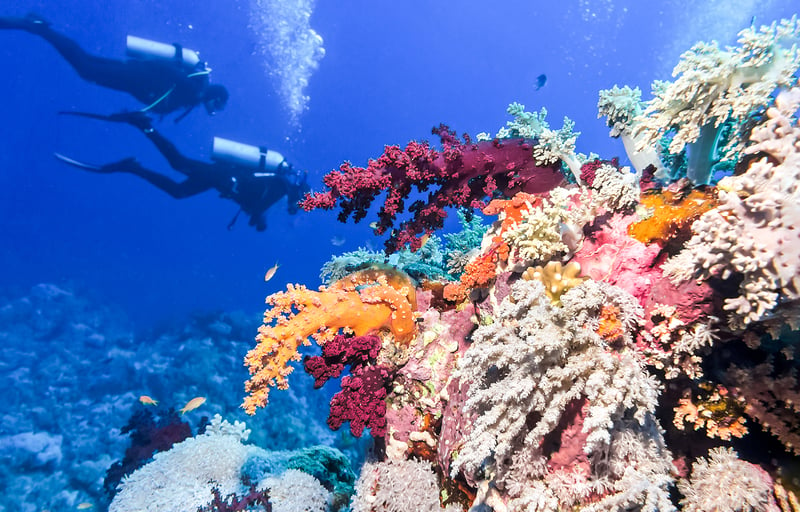 Belize Barrier Reef in Caribbean