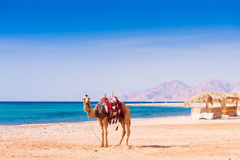 Traveling the Middle East: Red sea