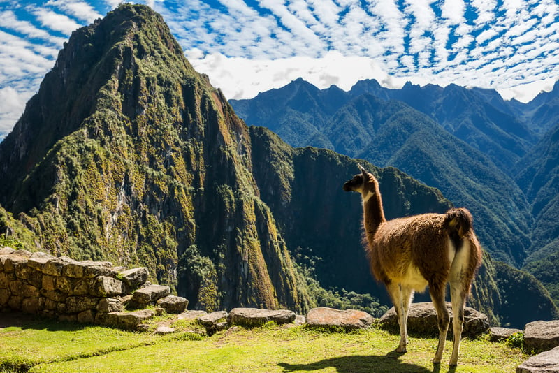 South America: Machu Picchu
