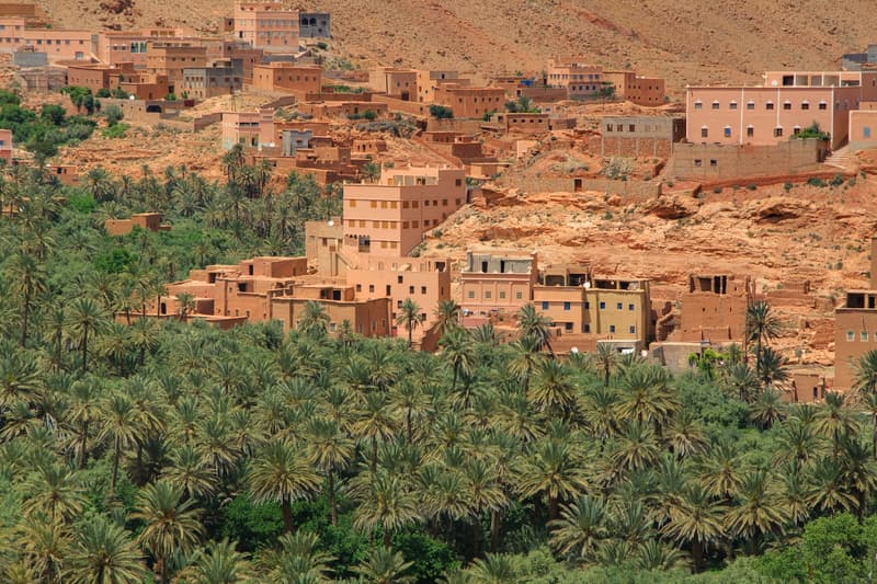 Morocco Oasis village in the desert with palm trees