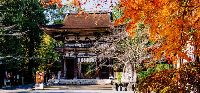 Another one of the most unique lodging experience is going to Miidera Temple in Japan