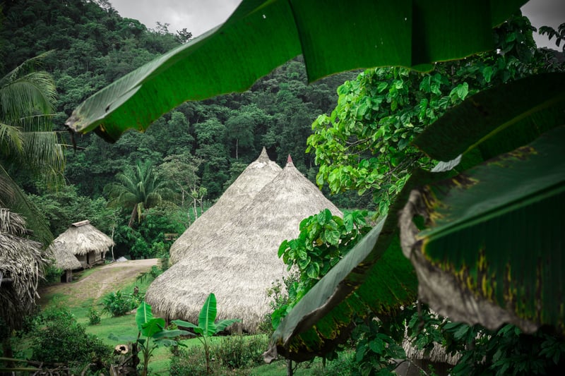 This is home for embera people,thatched roof is covered every house. Small village in the middle of the lush jungles visited on volunteer trip