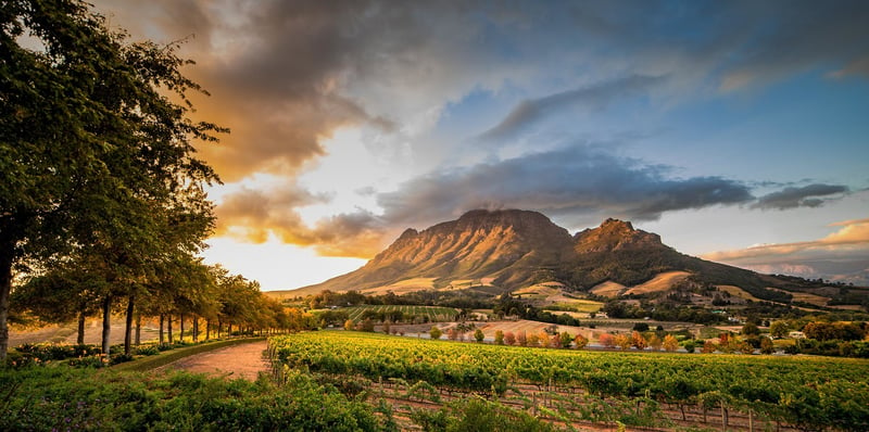 Wine region in South Africa