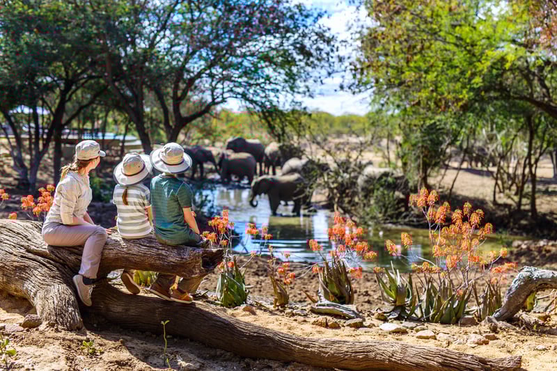 World schooling family on African safari watching elephants play in the water hole